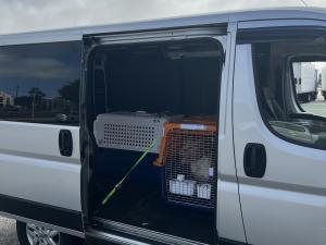 75A30F95-498B-4891-9394-40343DD967B8