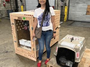 78F0C0C9-B26C-4732-B9C1-0BCFAF0AE405