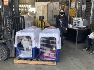 537AB410-824F-44A4-B7C8-4CE8CB67B855