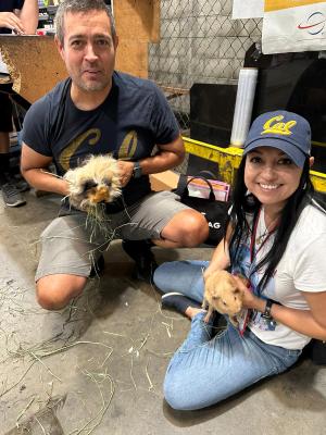 28ecee65-bf8b-4ec9-89ab-1bf9f71b03b7