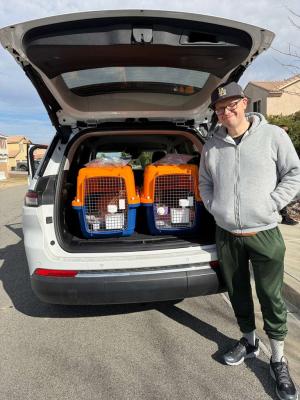 pet-relocation-services-international-moves