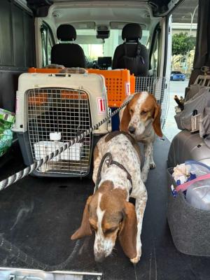 dfe62d0d-0939-4399-9f2d-3bdcf1579b09