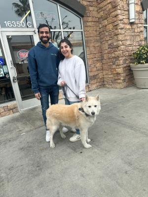 a1df0e75-fbfd-461b-ad43-94122adb9225