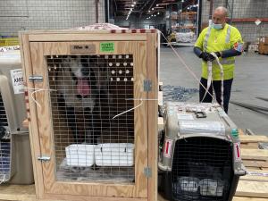 111E5AFC-74BE-45F5-A750-D06B5F6613B7