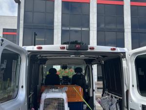 E69A0086-54E3-497F-83B9-2DC746E7073E