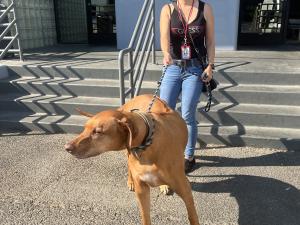 865CA45D-2F86-48F6-B349-7B719439C2E0