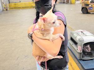 53F9B6DB-D7D9-47E5-BE94-68B8C001983E