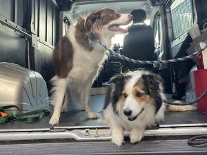 7413C7E9-4DF8-4DB1-83E6-3AA04AABA281