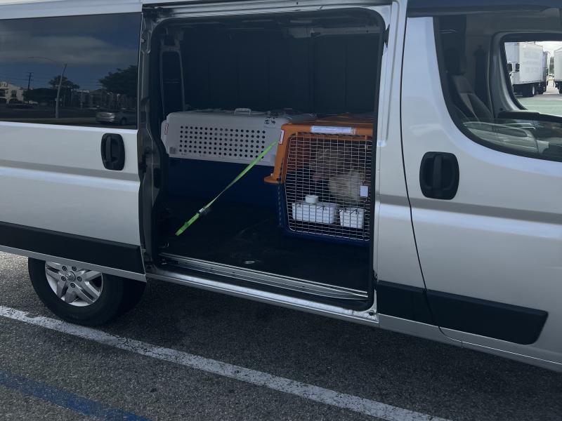 75A30F95-498B-4891-9394-40343DD967B8