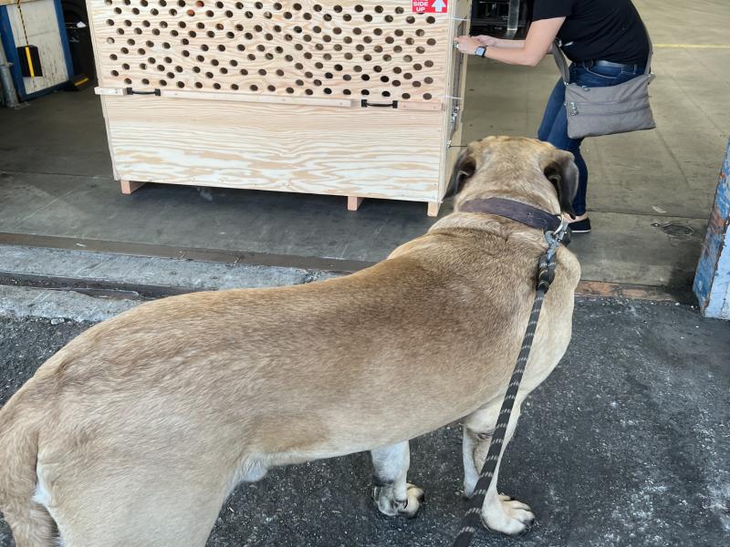 FCAEE021-9EA2-4B43-A149-1717258B0B05