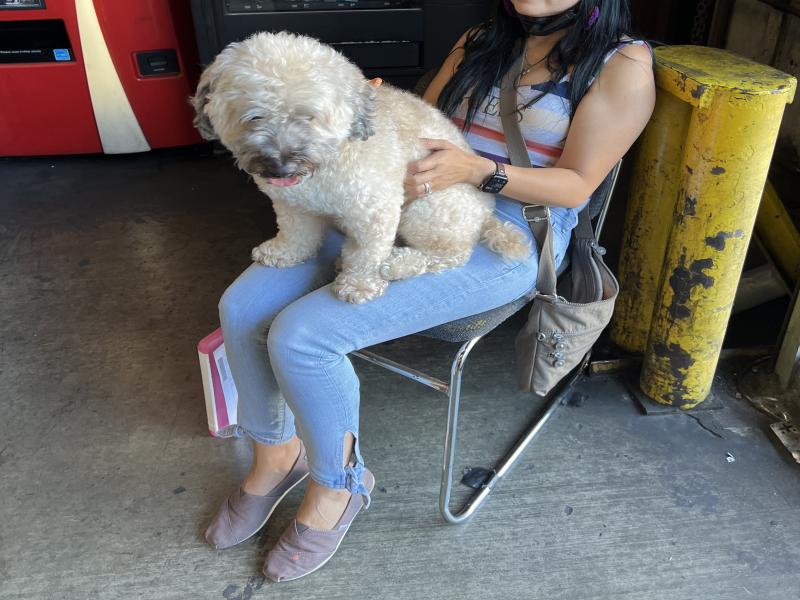 CC33E64E-A851-4036-9A54-9944E06842C8