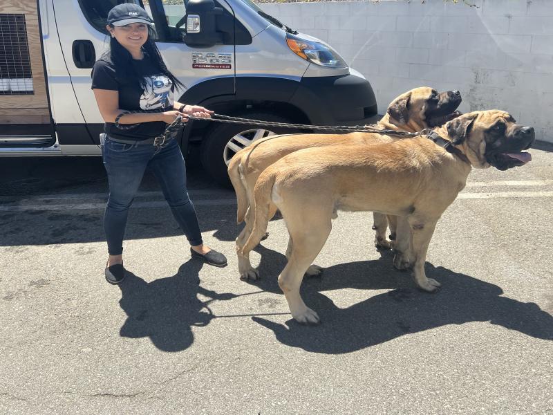 3B457BC6-AA85-4D90-B380-883D7658FCC7