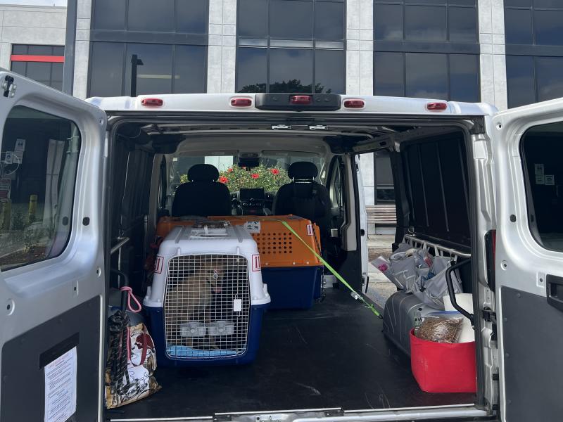 E69A0086-54E3-497F-83B9-2DC746E7073E