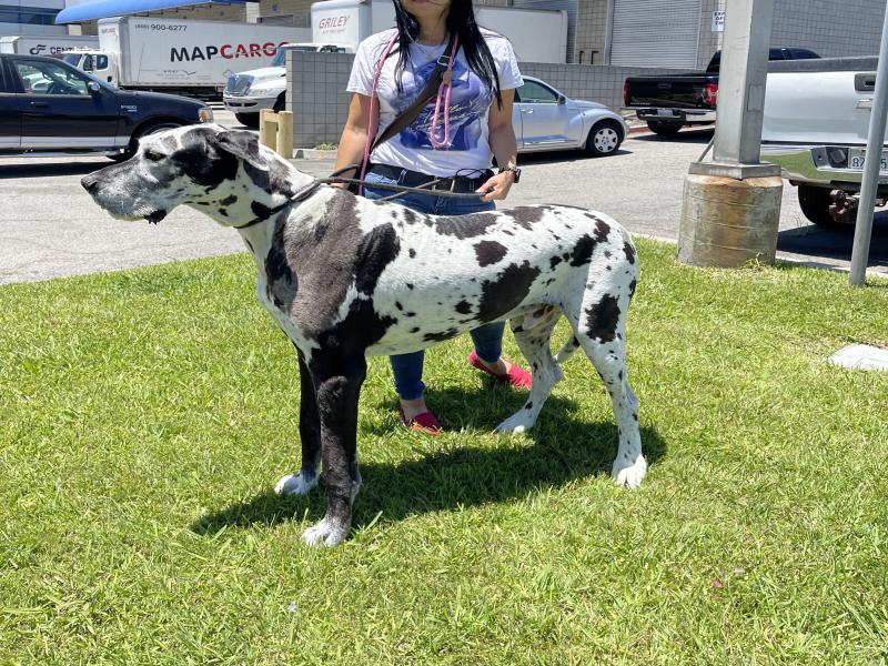 A6E1AA81-F700-4743-A4E7-F33AC0C6847D