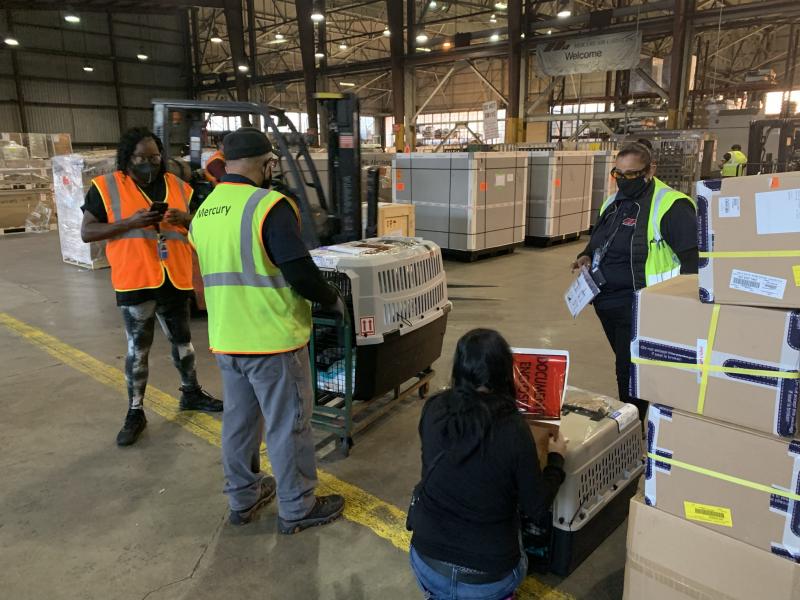 F7C64B92-87F0-4FCB-A55B-8F842B6C6CB3