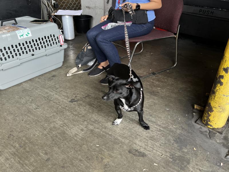 132C1592-4533-43CB-B959-8C2B34B4C869