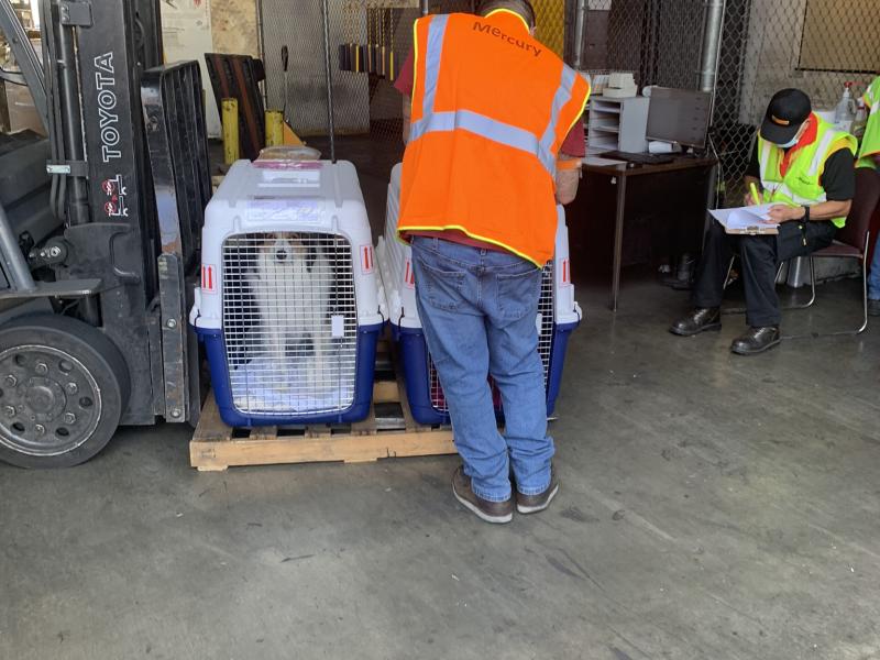 4C3C7177-18C0-4DAF-8556-8B70A4D96865