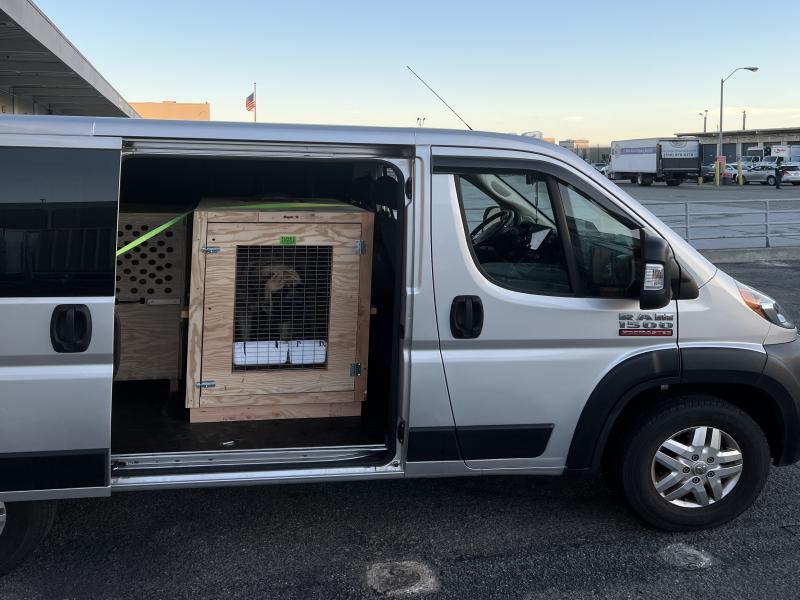 59BB355C-F40B-41F3-85B4-E0D01809E32F