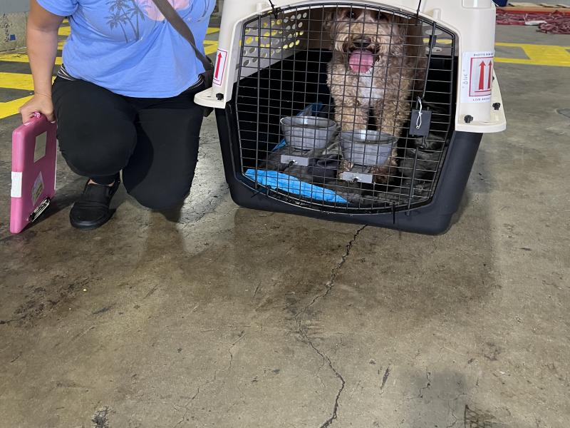 9D0ED771-D946-4661-A675-58B47D2C4B80