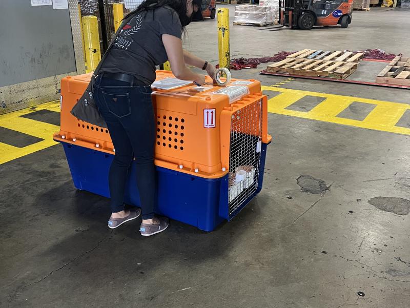 3FAF9887-0863-441A-80E0-22E09D399FC0