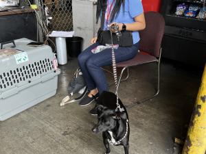 132C1592-4533-43CB-B959-8C2B34B4C869