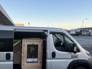 59BB355C-F40B-41F3-85B4-E0D01809E32F