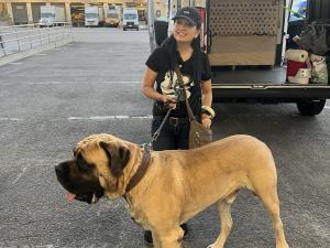 308C3706-1291-459A-8D20-119825A67FE6