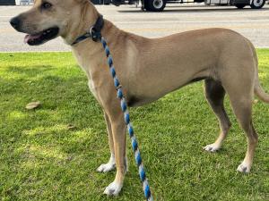 D196CAA9-B0F8-4C2A-B3BB-4D49EAD49646