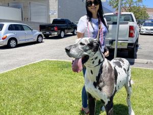 CCD7853C-2AA1-4AD5-BDB9-DD9CDCE8E446