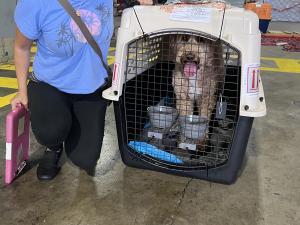 9D0ED771-D946-4661-A675-58B47D2C4B80