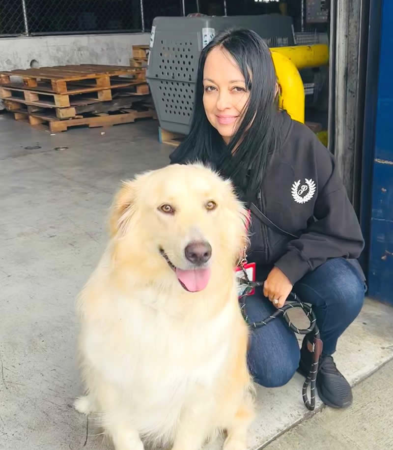 transporte internacional de mascotas