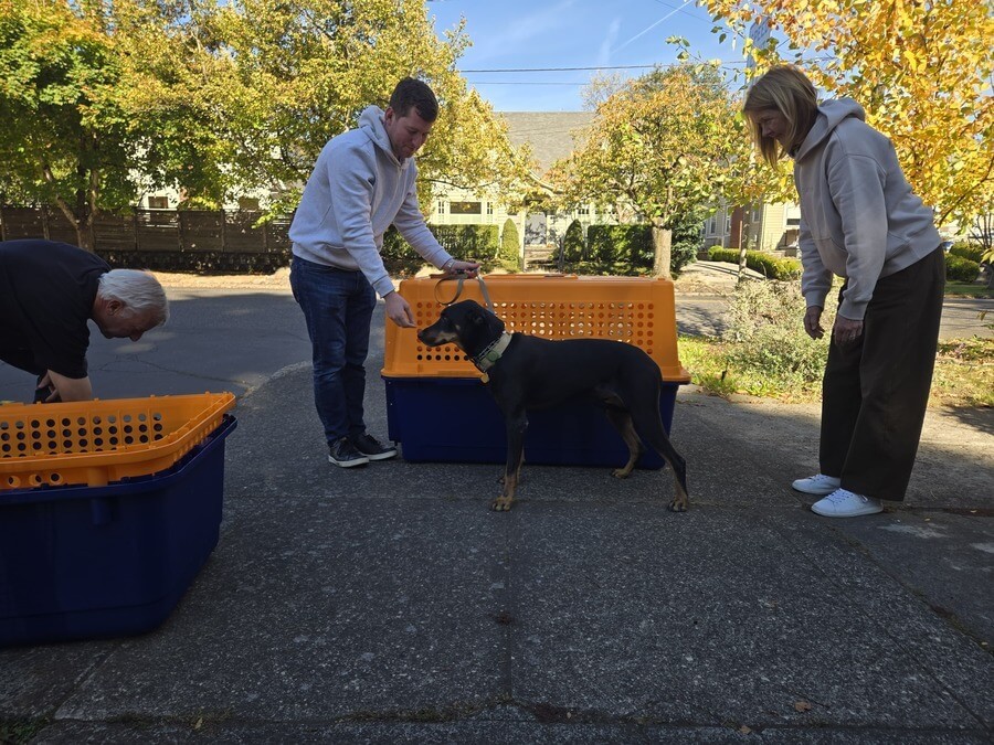 Kilo el perro siendo ajustado a su jaula de viaje frente a la casa de su familia en Oreg&oacute;n en oto&ntilde;o