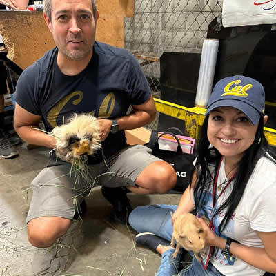 Exóticos viajando de LAX a Perú