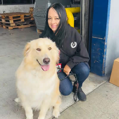 Pepper y Roni viajando de LAX a Colombia