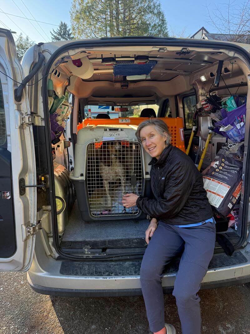 Transporte internacional de mascotas: recogida en casa para perros que viajan al extranjero