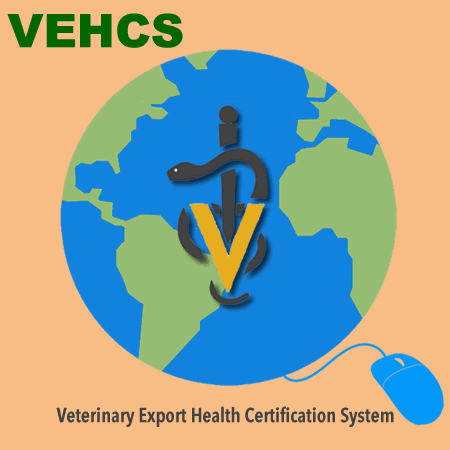 Asistencia en Documentación para Transporte Veterinario Internacional