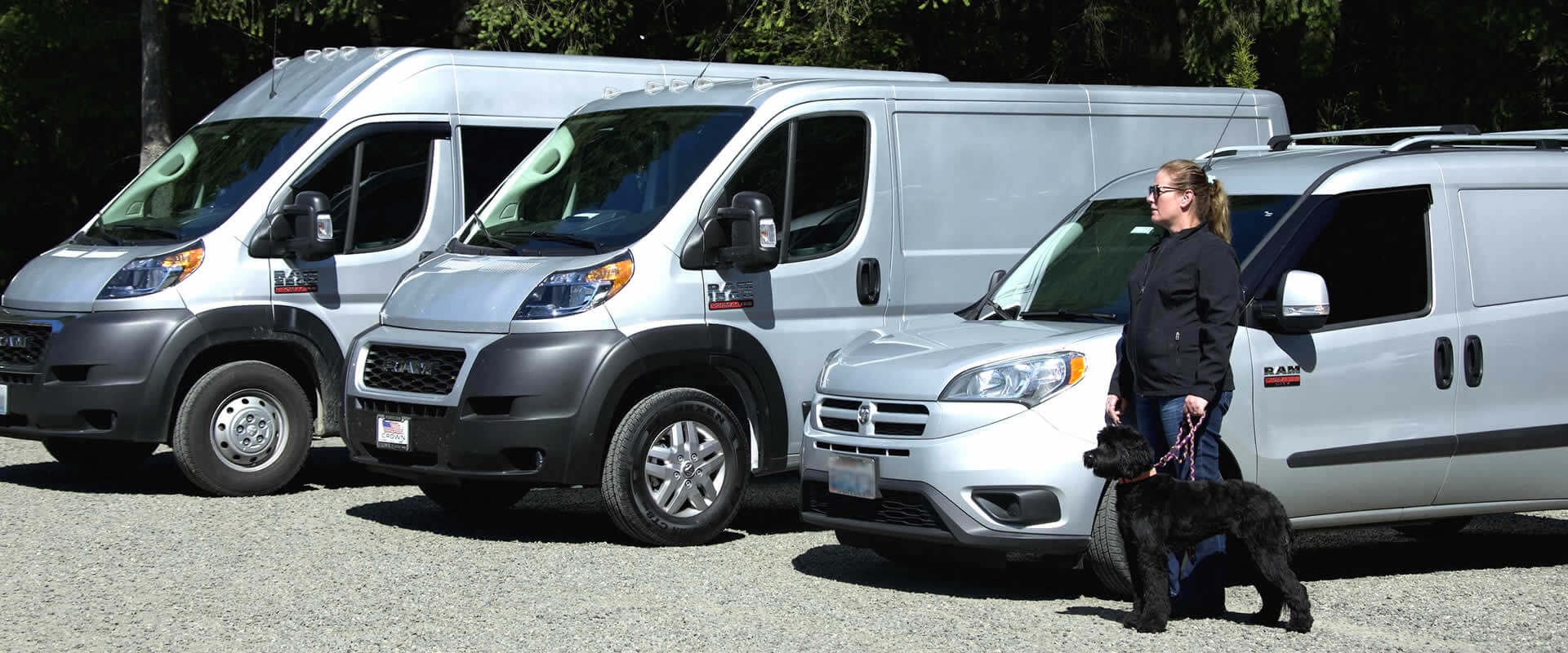 Transporte Seguro de Mascotas